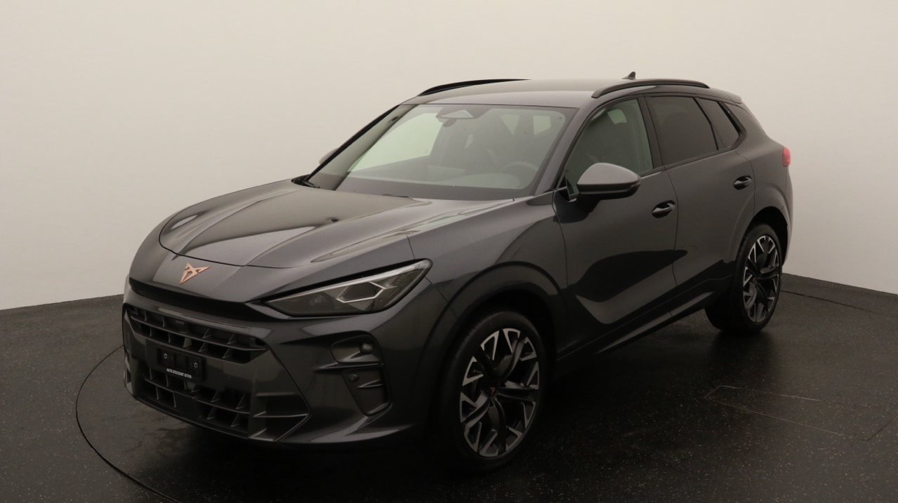 Cupra<br>Terramar 2.0 TSI DSG 4Drive VZ